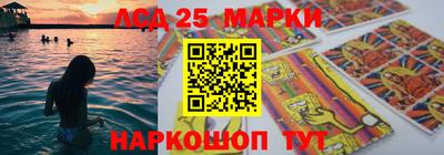 СК Сланцы