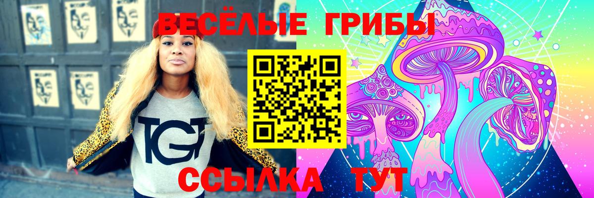 даркнет сайт  Псилоцибиновые грибы мицелий  Вход с VPN  Миллерово 