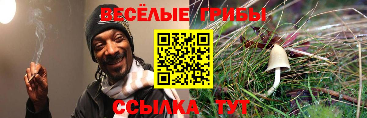 Псилоцибиновые грибы GOLDEN TEACHER Миллерово